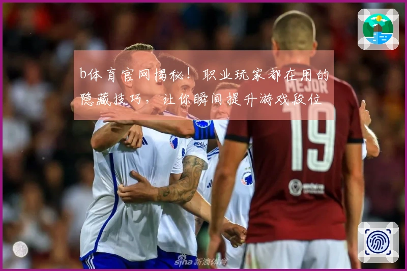 b体育官网揭秘！职业玩家都在用的隐藏技巧，让你瞬间提升游戏段位！