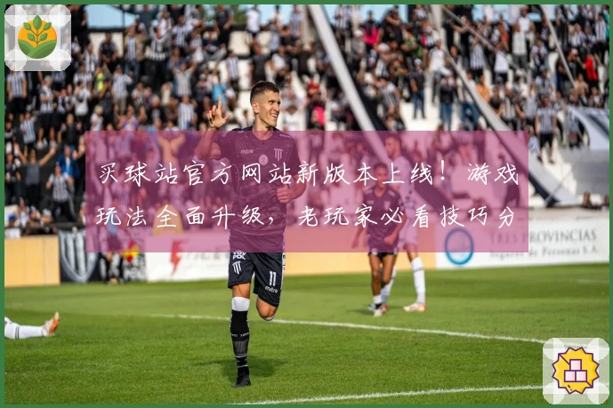 买球站官方网站新版本上线！游戏玩法全面升级，老玩家必看技巧分享